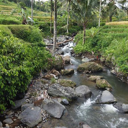 Villa Graha Ayoe Sidemen  Esterno foto