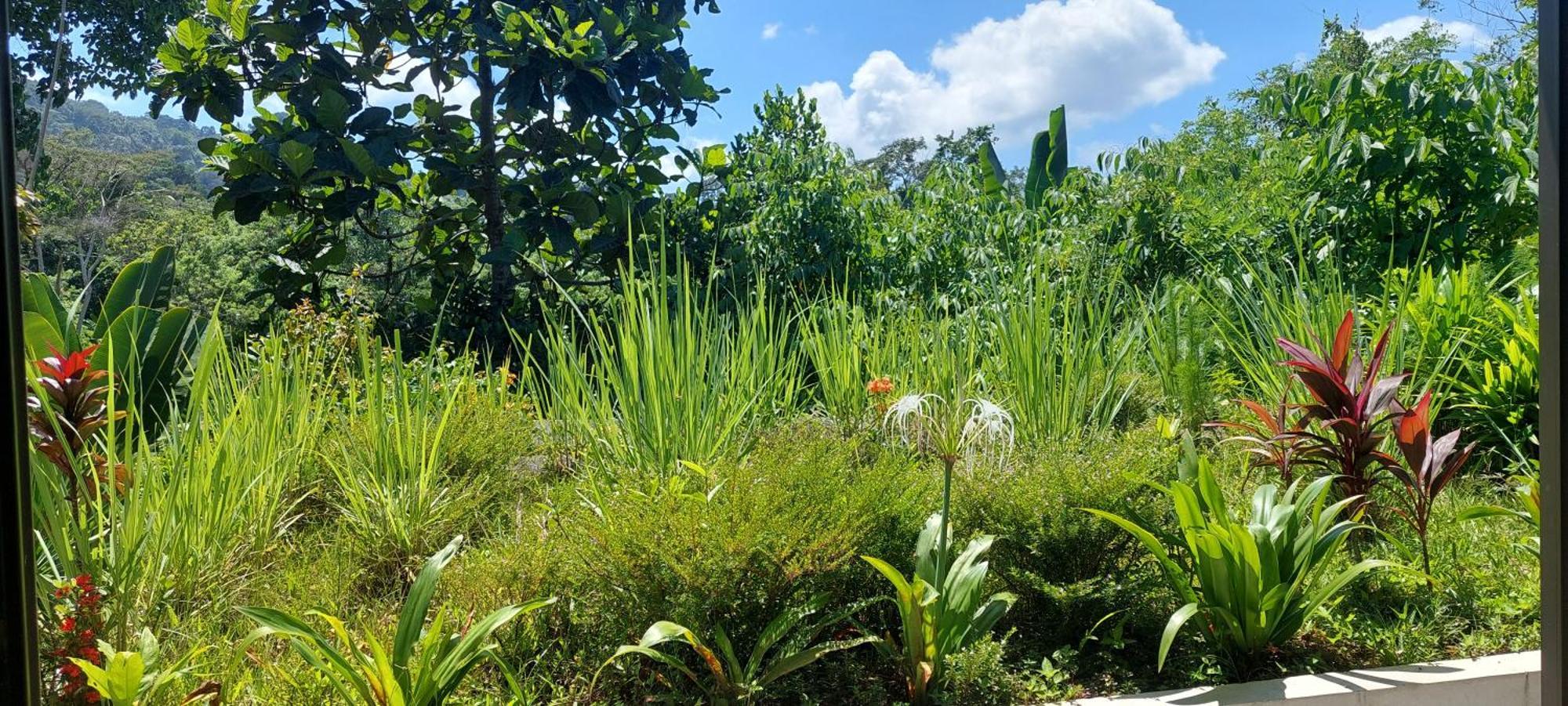 Villa Graha Ayoe Sidemen  Esterno foto
