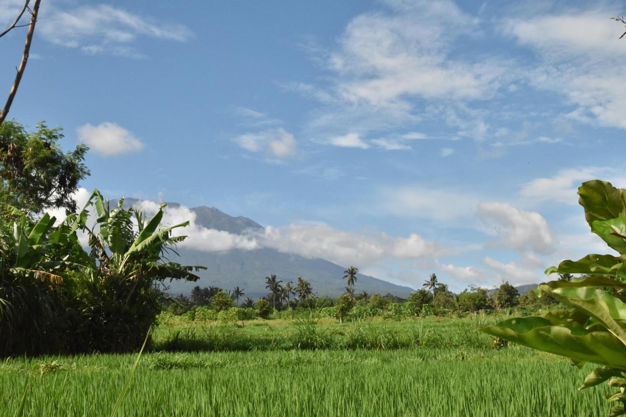 Villa Graha Ayoe Sidemen  Esterno foto