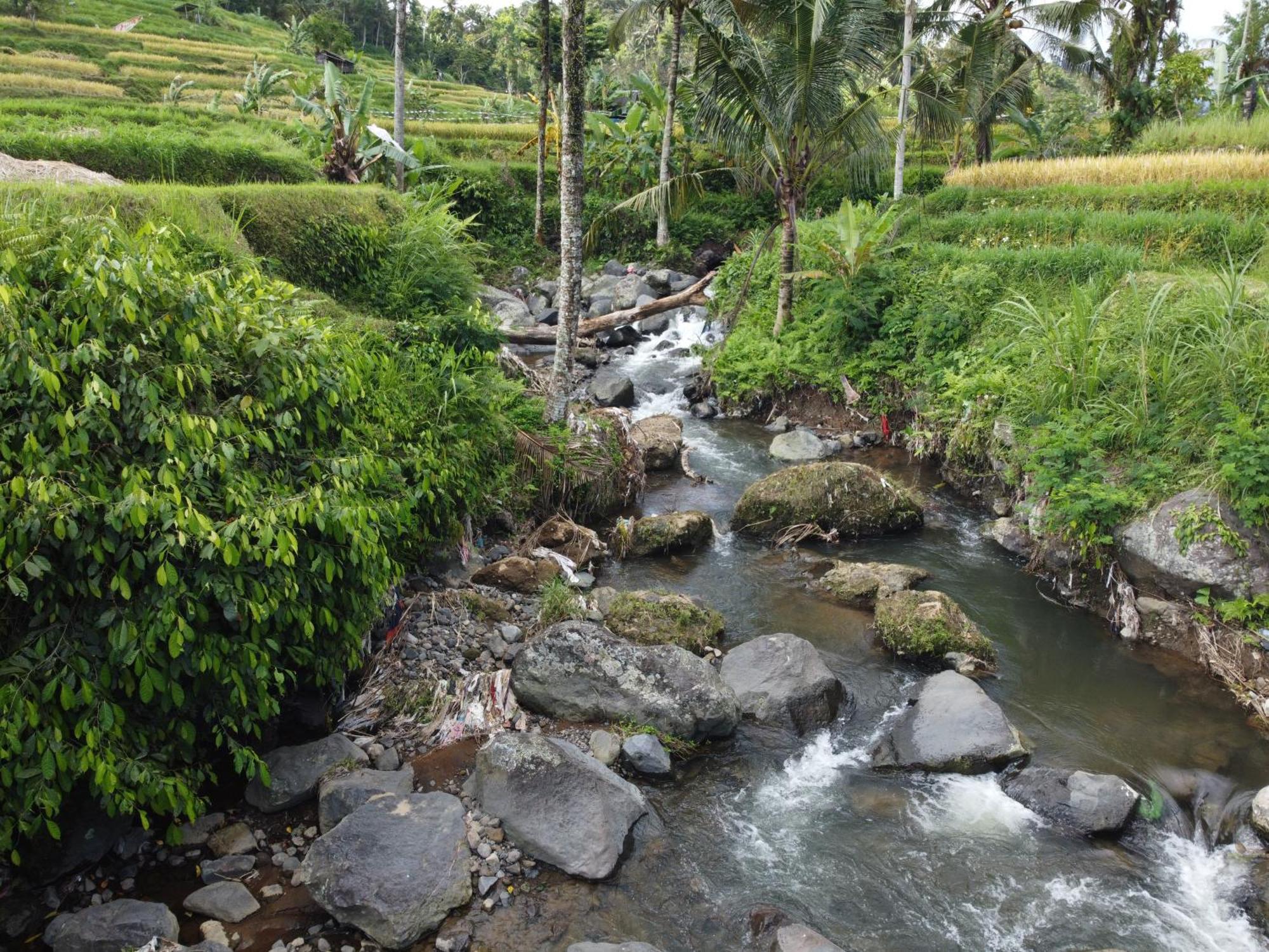 Villa Graha Ayoe Sidemen  Esterno foto